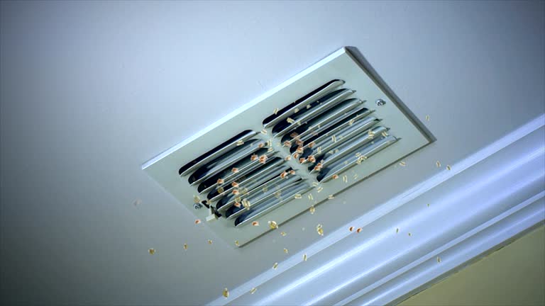 Best Local Air Duct Cleaning Services  in Waimanalo, HI