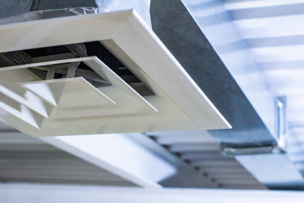 Best Professional Duct Cleaning Services  in Waimanalo, HI