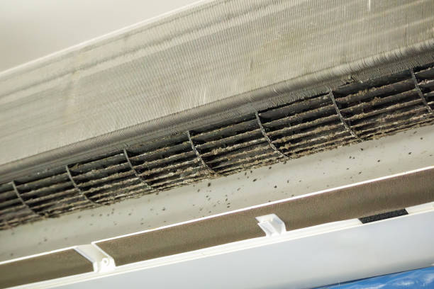 Best Affordable Duct Cleaning Services  in Waimanalo, HI